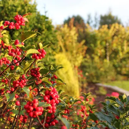 Oaza Dabek Lodge Dąbki