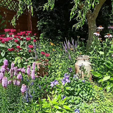 Domek letniskowy Oaza Dąbek *