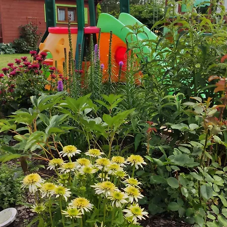 Domek letniskowy Oaza Dąbek Dąbki