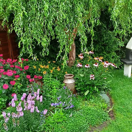 Oaza Dabek * دومبكي