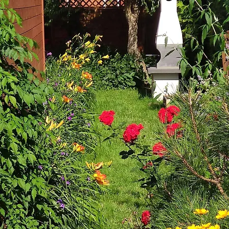 Oaza Dąbek Domek letniskowy