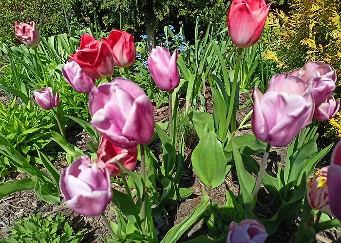 Oaza Dąbek * Dąbki