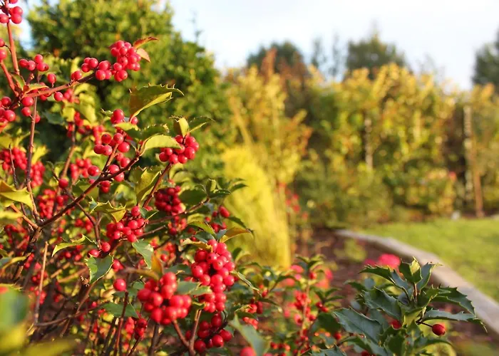 Oaza Dąbek Domek letniskowy Dąbki