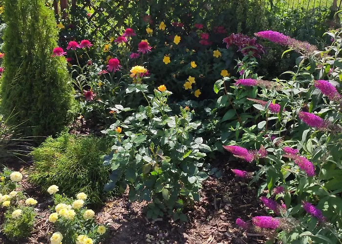 بيت خشبي Oaza Dabek دومبكي