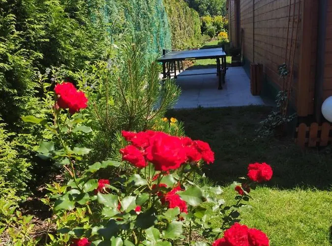 Oaza Dąbek * Dąbki