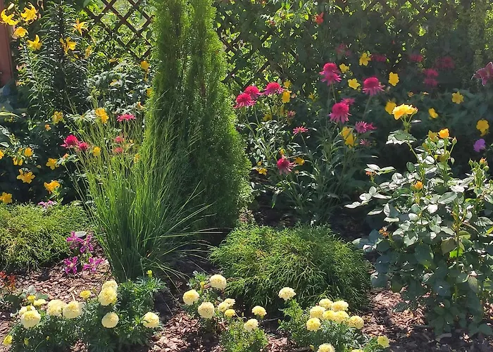 Domek letniskowy Oaza Dąbek Dąbki