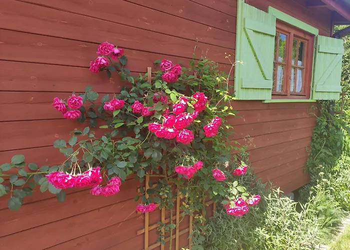 Oaza Dabek بيت خشبي دومبكي