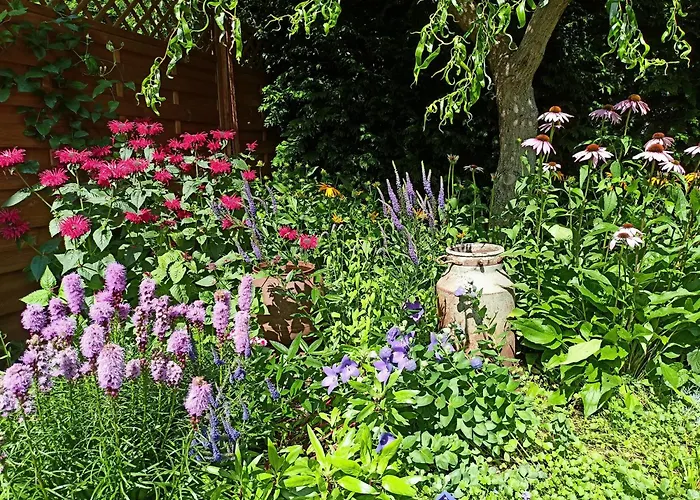 Domek letniskowy Oaza Dąbek *