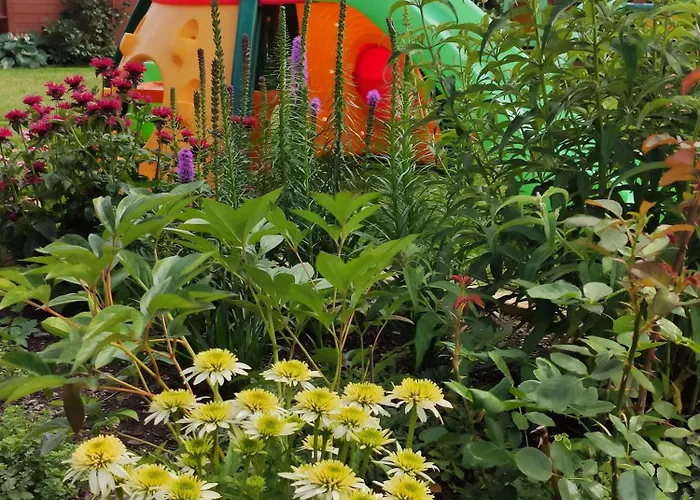 بيت خشبي Oaza Dabek دومبكي