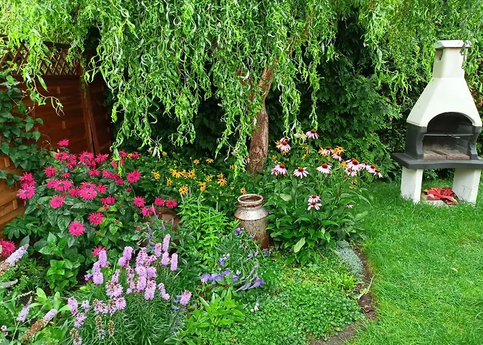 Oaza Dąbek * Dąbki