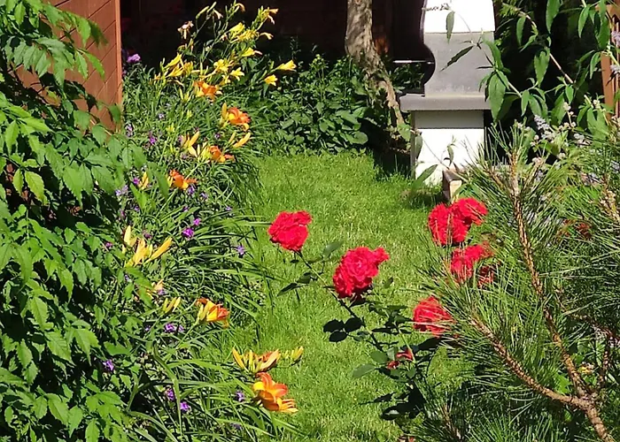 Oaza Dabek بيت خشبي