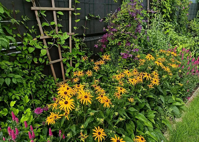 Oaza Dąbek Domek letniskowy *